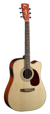 MR500EOP Dreadnought Natur