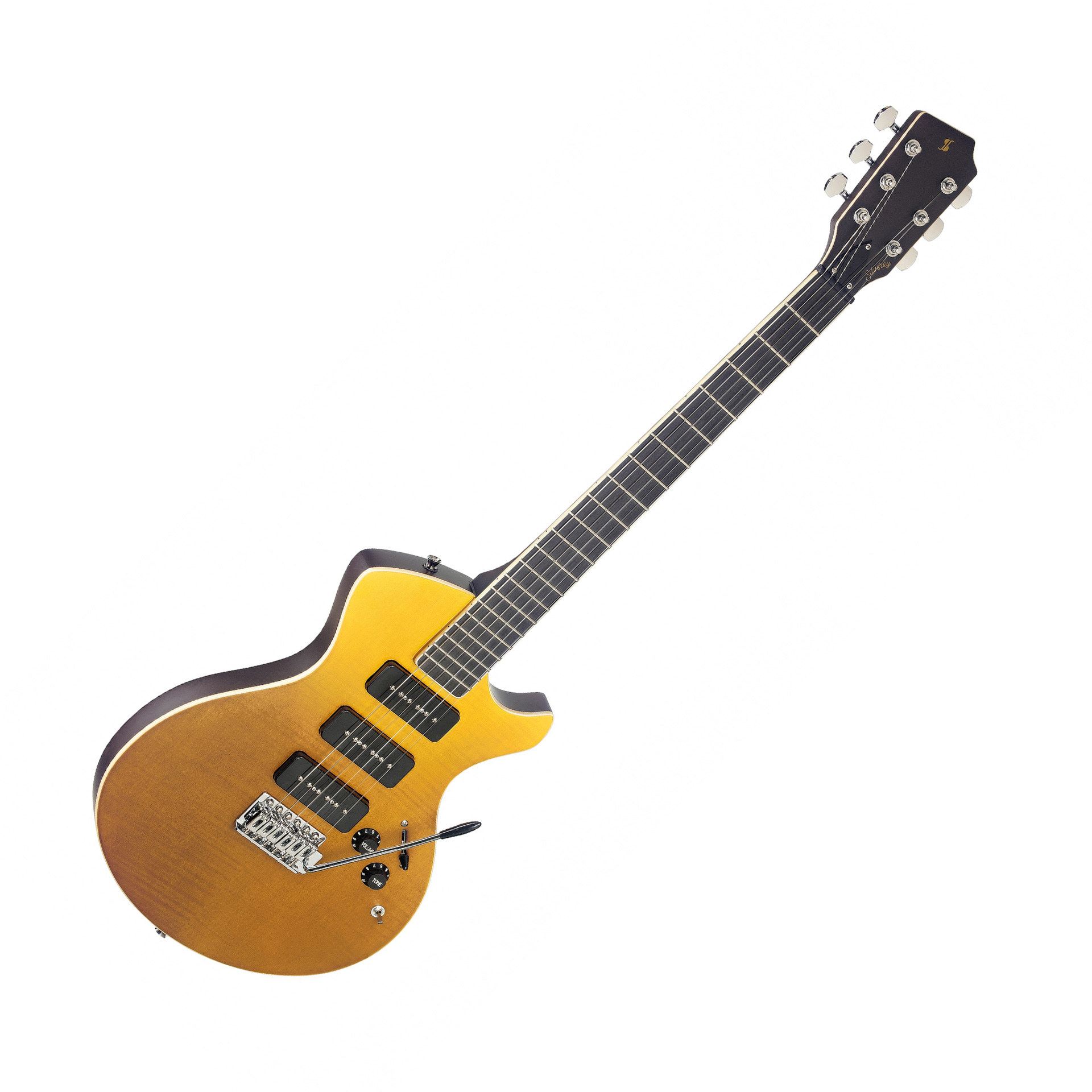 Silveray NASHDLX FSB E-Git.