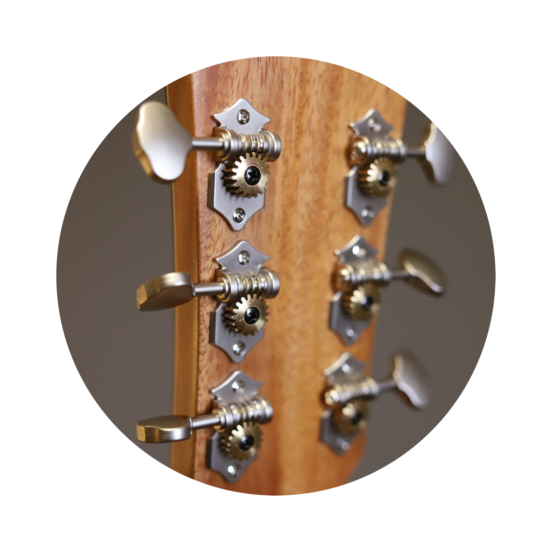 Eagle SWCW Europe Dreadnought