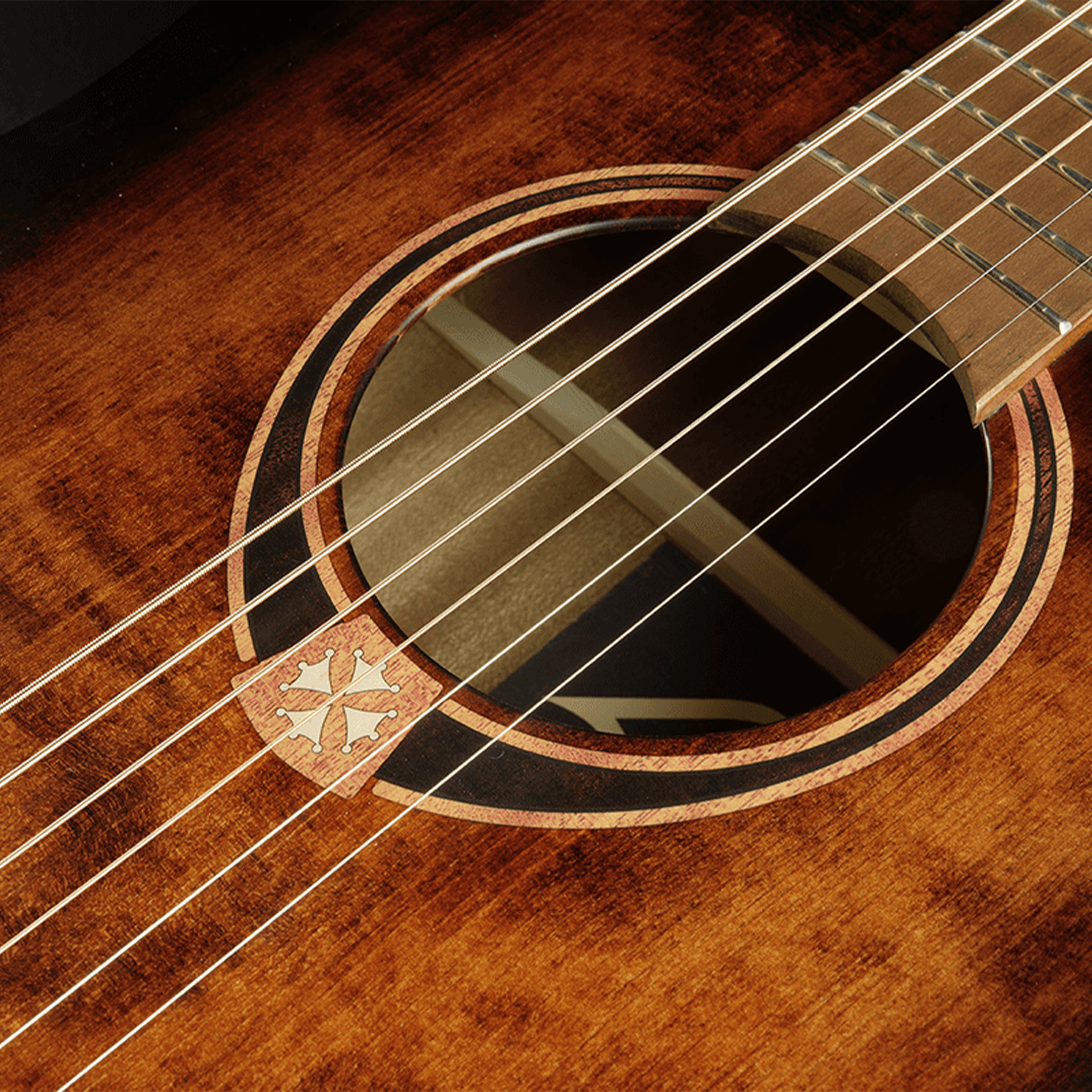 T70DCEBB Dreadnought Blk&Brown