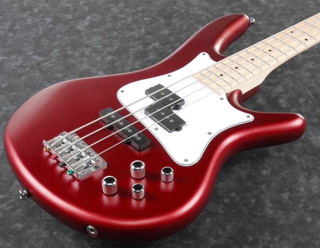 SRMD200-CAM E-Bass