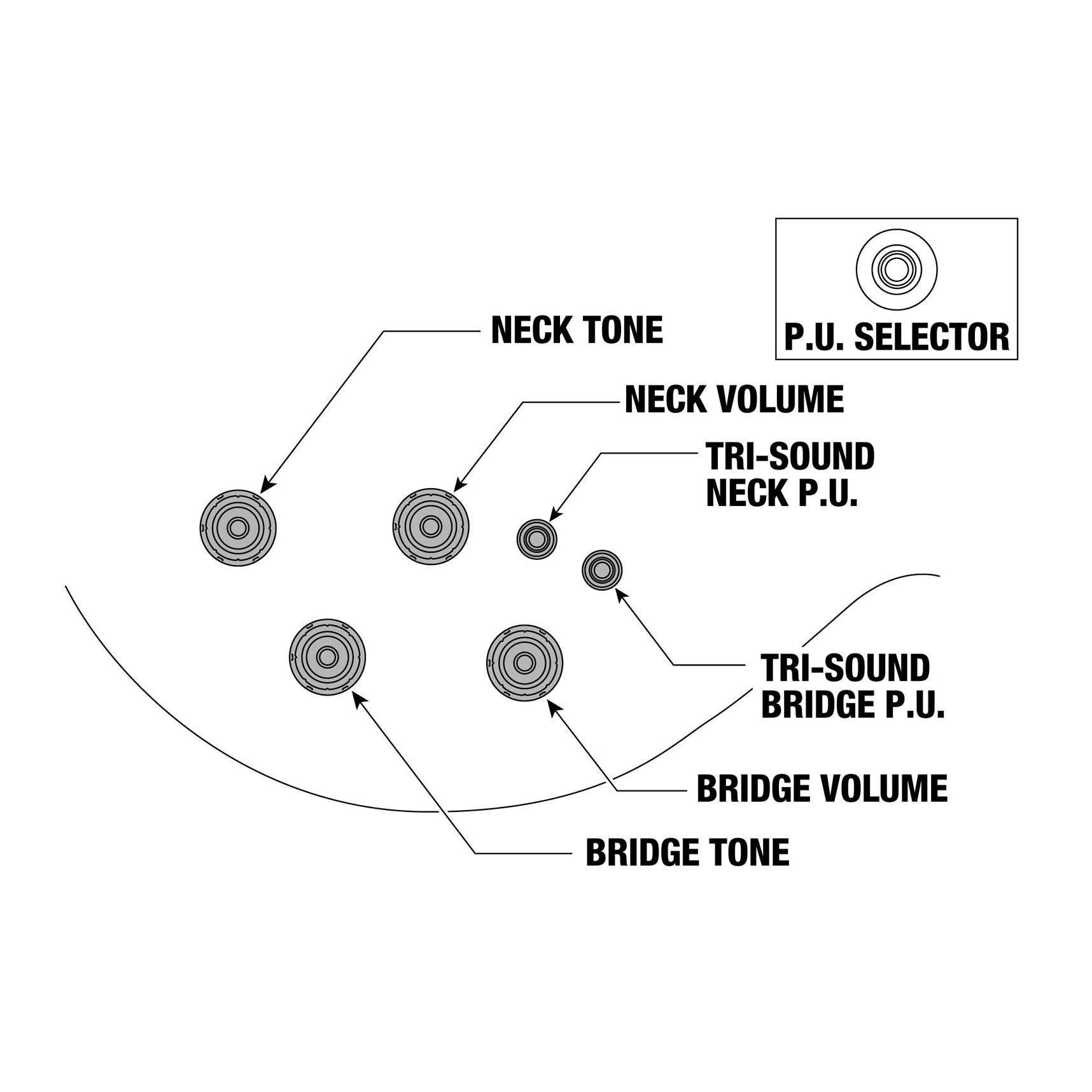 AR420-VLS Violin Sunburst