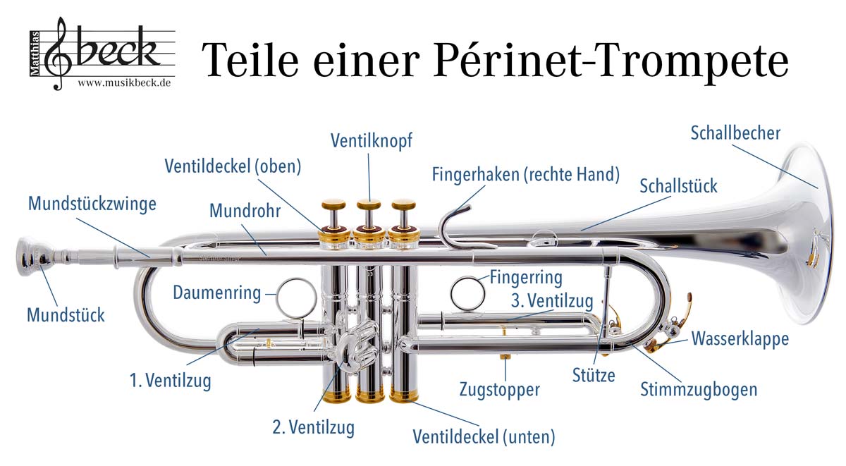 Trompete kaufen