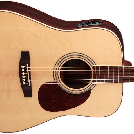 Earth 100FER Dreadnought + PU