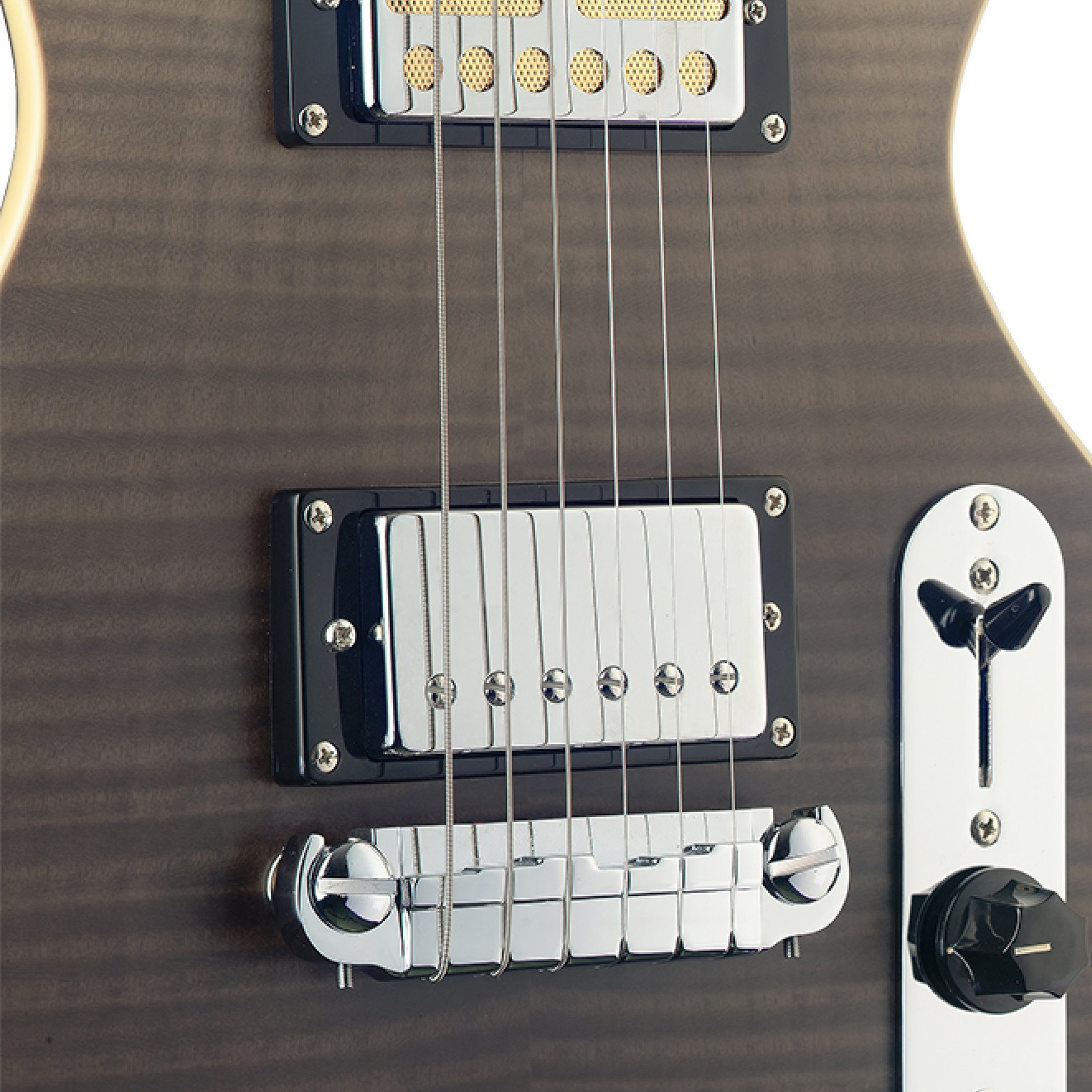 Silveray SPCLDLX FBK E-Gitarre