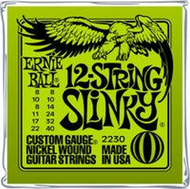 2230 Slinky 12-String Saiten