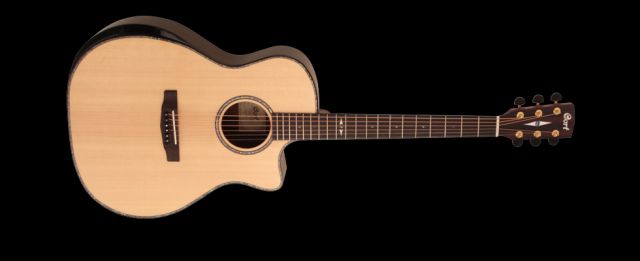 GAPF-BVN Grand Auditorium