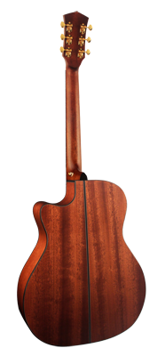 GOLD A6 Grand Auditorium