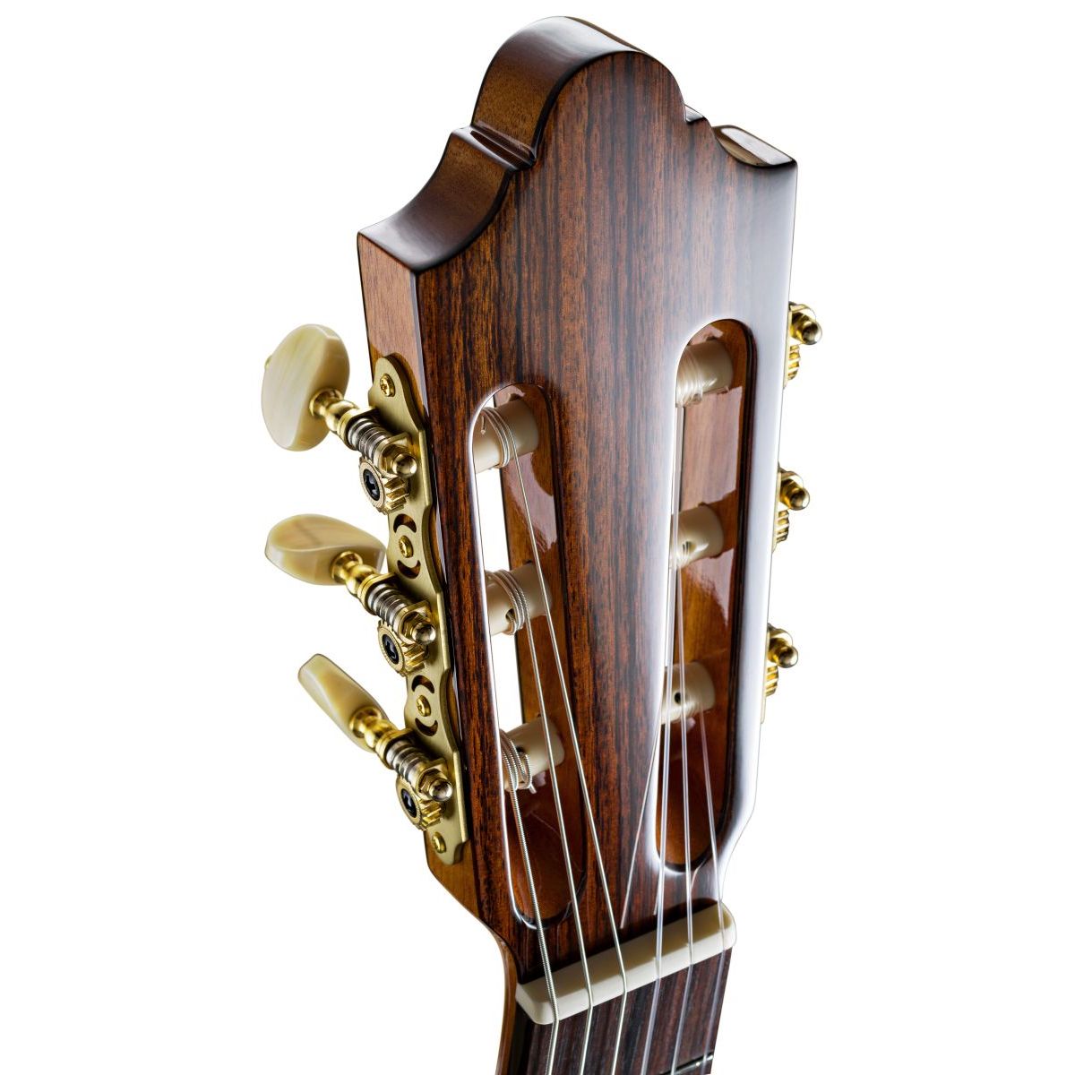 Basis C63/48Cut TrioVT Gitarre