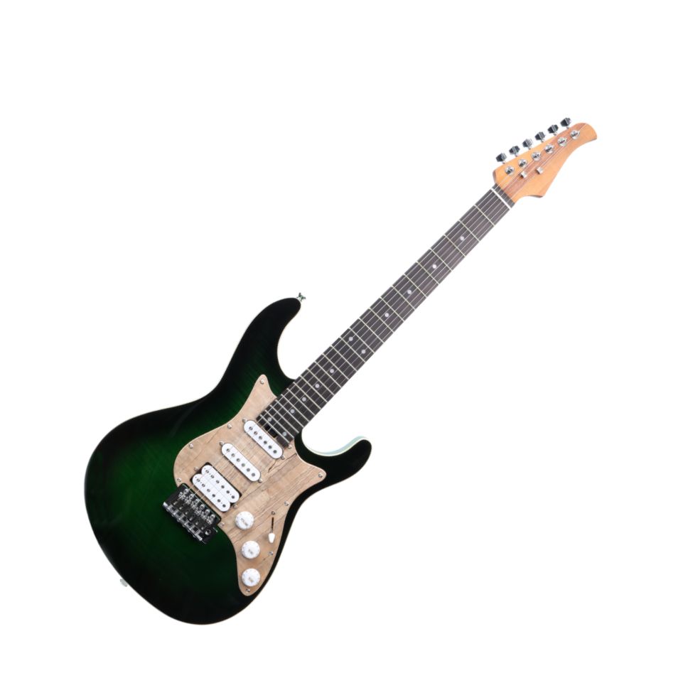 ES60-FEB E-Gitarre
