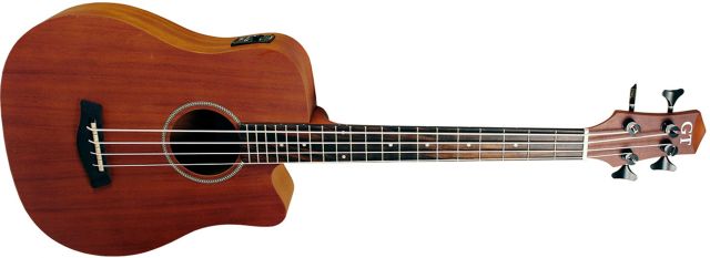 Micro Bass 25'' Akustikbass