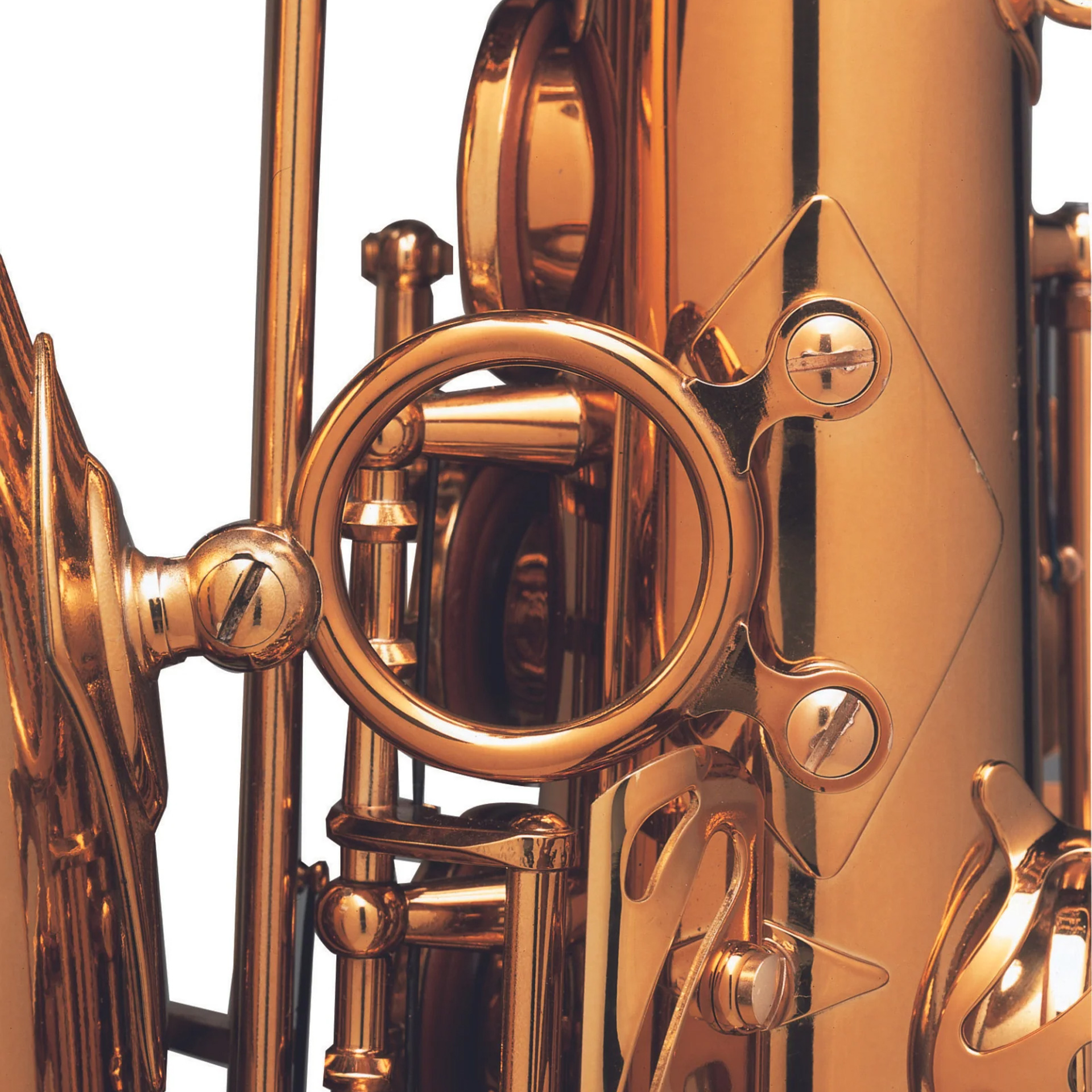 Altsaxophon Reference 54