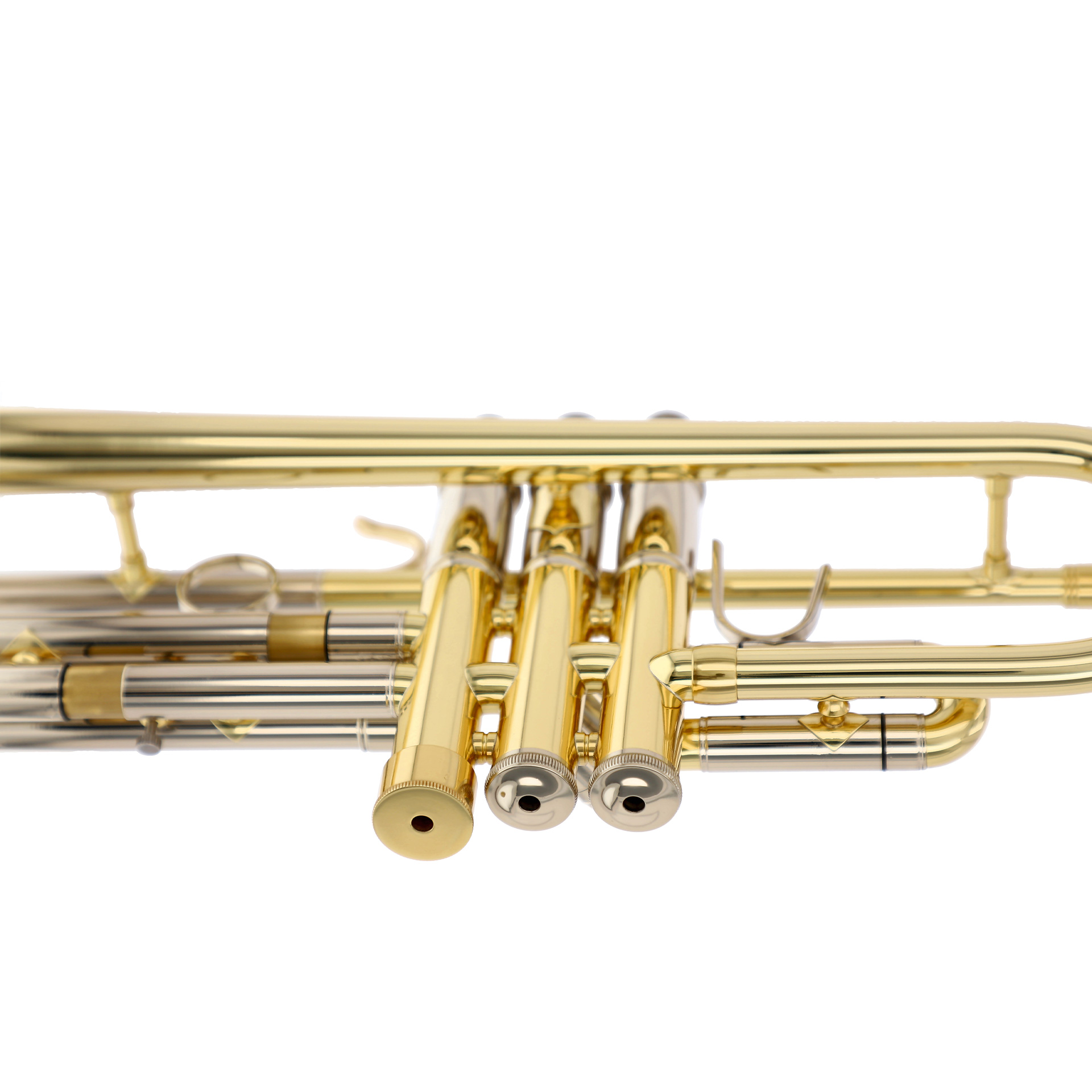 B-Trp. Personality M. Hutter