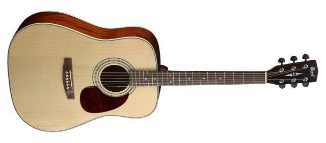 Earth 70 Dreadnought Natural